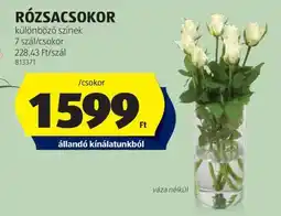ALDI RÓZSACSOKOR ajánlat