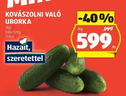 ALDI Kovászolni való uborka ajánlat