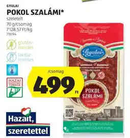 ALDI GYULAI POKOL SZALÁMI ajánlat