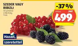 ALDI Szeder vagy Ribizli ajánlat