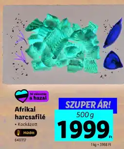 Lidl Afrikai harcsafilé ajánlat