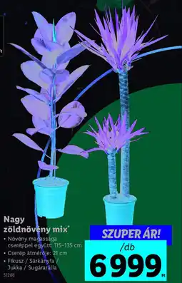 Lidl Nagy zöldnövény mix ajánlat