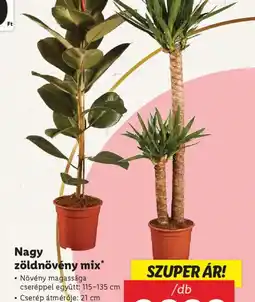 Lidl Nagy zöldnövény mix ajánlat