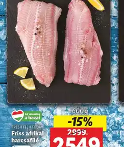 Lidl Friss afrikai harcsafilé ajánlat