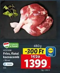 Friss, fiatal kacsacomb