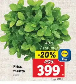 Lidl Friss menta ajánlat