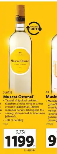 Lidl Juhász Muscat Ottonel ajánlat