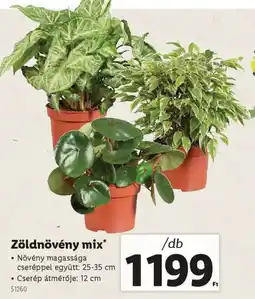 Lidl Zöldnövény mix ajánlat