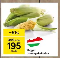 Tesco Magyar csemegekukorica ajánlat