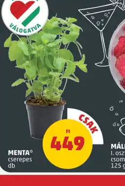 PENNY Menta ajánlat