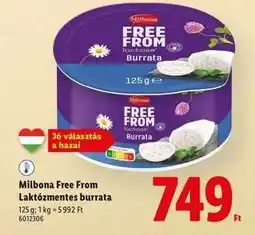 Lidl MILBONA FREE FROM Laktózmentes burrata ajánlat