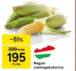 Tesco Magyar csemegekukorica ajánlat