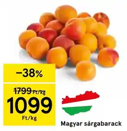 Tesco Magyar sárgabarack ajánlat