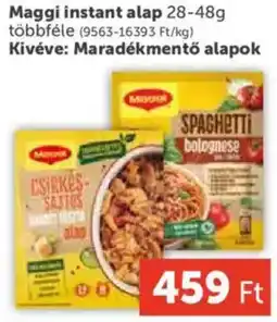 PRIVÁT Maggi instant alap ajánlat