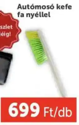 PRIVÁT Autómosó kefe fa nyéllel ajánlat