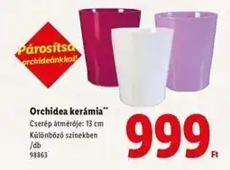 Lidl Orchidea kerámia ajánlat