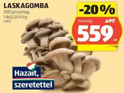 ALDI Laskagomba ajánlat