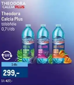 Metro Theodora Calcia Plus ajánlat