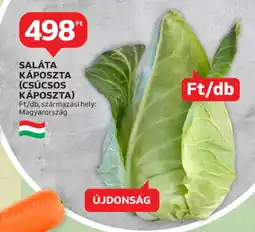 Auchan Saláta Káposzta (Csúcsos Káposzta) ajánlat