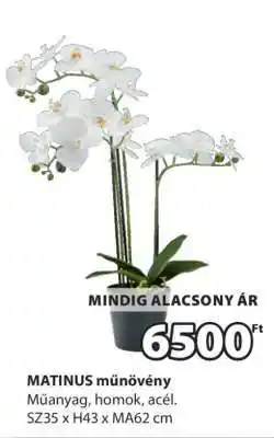 JYSK MATINUS műnövény ajánlat