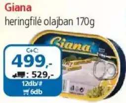ÁRKLUB Giana heringfilé olajban ajánlat