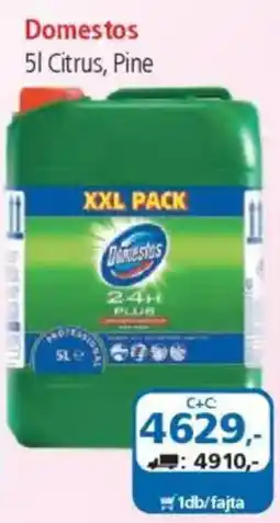 ÁRKLUB Domestos ajánlat