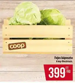 Fejes káposzta