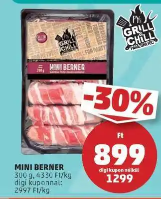 PENNY MINI BERNER ajánlat