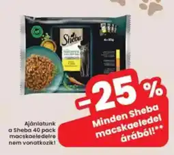 Minden Sheba macskaeledel