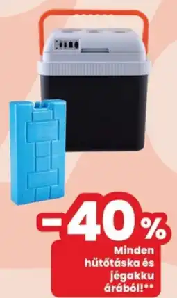 Hűtőtáska és jégakku