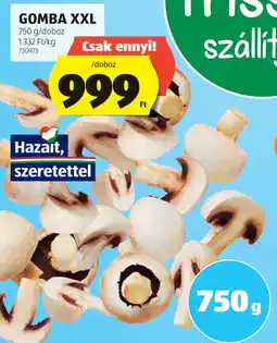 ALDI Gomba XXL ajánlat