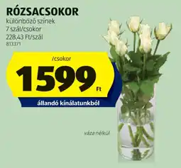 ALDI Rózsacsokor ajánlat