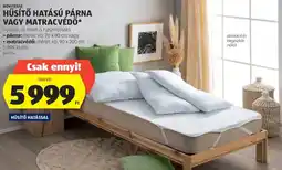 ALDI Novitesse húsítő hatású párna, matracvédő ajánlat