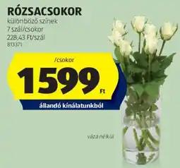 ALDI Rózsacsokor ajánlat