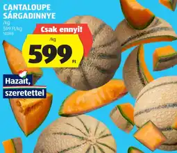 ALDI Cantaloupe sárgadinnye ajánlat