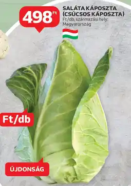 Auchan Saláta káposzta ajánlat