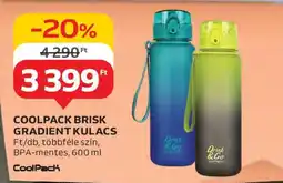 Auchan COOLPACK BRISK GRADIENT KULACS ajánlat