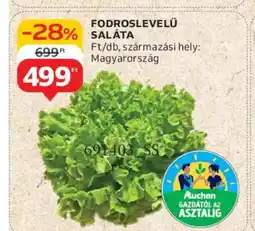 Auchan Fodroslevelű saláta ajánlat
