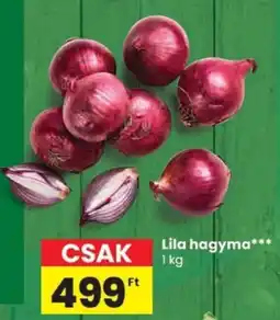 Spar Lila hagyma ajánlat