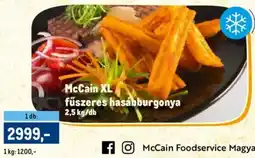 Metro McCain XL fűszeres hasábburgonya ajánlat