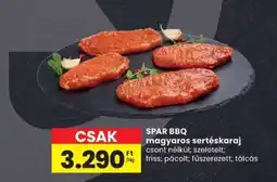 Spar SPAR BBQ magyaros sertéskaraj ajánlat