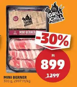 PENNY MINI BERNER ajánlat