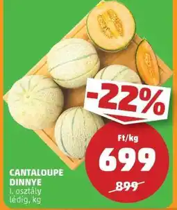 PENNY Cantaloupe dinnye ajánlat