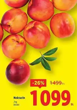 Lidl Nektarin ajánlat
