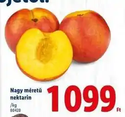 Lidl Nagy méretű nektarin ajánlat