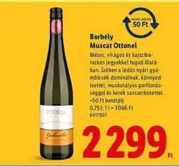 Lidl Borbély Muscat Ottonel ajánlat