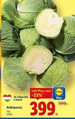 Lidl Kelkáposzta ajánlat