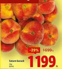 Lidl Saturn barack ajánlat