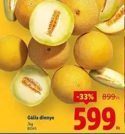 Lidl Gália dinnye ajánlat