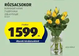 ALDI RÓZSACSOKOR ajánlat